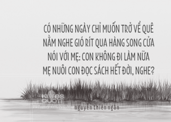 CCleaner Professional key kích hoạt Online 2017. 3