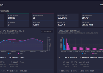 GoAccess, Real Time Dashboard monitor for Nginx Proxy Manager – Docker
